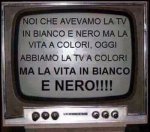 TV.jpg
