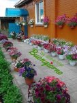 IMG-20200705-WA0001.jpg