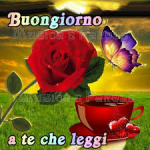 1594110553664.png
