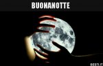 BUONANOTTE.jpg