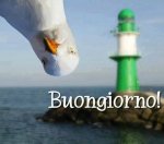 Buongiorno2.jpg