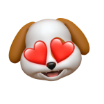 1595158231311.png