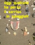 vignetta_2447.jpg