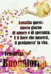 1595913200064.png
