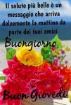 6f674d36407eaed1dc5ff4d29739882e_10.jpg