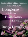 FB_IMG_1596950946747.jpg