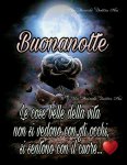 Belle-immagini-della-buonanotte-4.jpg