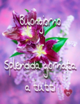 1598957203857.png