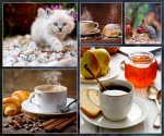 BUONGIORNO_16.jpg