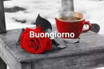 1599800545371.png