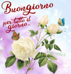 1600596925230.png