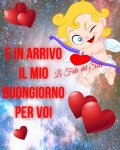 FB_IMG_1600838205311.jpg