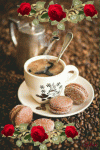 1f4cd198327fb8dacf3a1132afdc6b35.gif