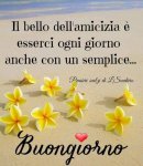 FB_IMG_1601097224891.jpg