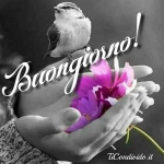 1601458636241.png