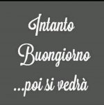buondi (1).jpg