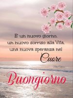 FB_IMG_1594139673003.jpg