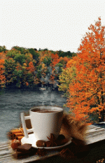 6e6b72a2038f00b69aed81d7e83682cf.gif
