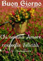 FB_IMG_1594707039823.jpg