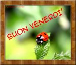 venerdì.jpg