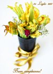 buon-compleanno-fiordizucca-2007.jpg