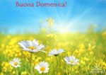 buona-domenica-buona-domenica_large.jpg