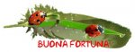 buonafortuna296.jpg