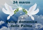 domenica delle palme.jpg