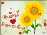 buona-domenica-4lp_480.jpg