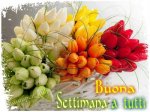 settimana.jpg
