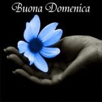 domenica.jpg