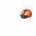 ladybug_searching_around_ty_wht.gif