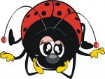 Coccinella.jpg