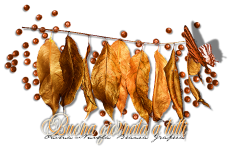 Ondina_autunno_buongiorno03.png