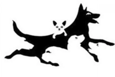 1604575801129.png