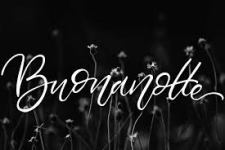1604704921473.png