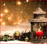 imageedit_1_2307955570.gif