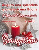 FB_IMG_1607411667565.jpg