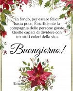 FB_IMG_1607668822934.jpg