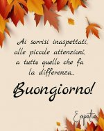FB_IMG_1605247501697.jpg