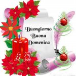 FB_IMG_1607246681428.jpg