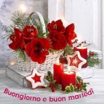photostudio_1608013542493.jpg