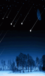 21ce25e3265bf5871f4ea471e2c069b4.gif