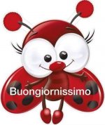 FB_IMG_1609144233246.jpg