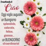 FB_IMG_1604385434155.jpg