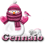 Mese di Gennaio 2021.png