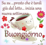 1611553055041.png