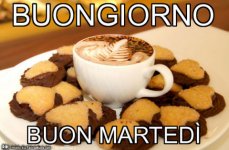 0fzsa886ft-buongiorno-fabuchini-vaccata_a.jpg