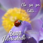IMG_20201109_213241_637.jpg