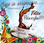 felice risveglio.jpg